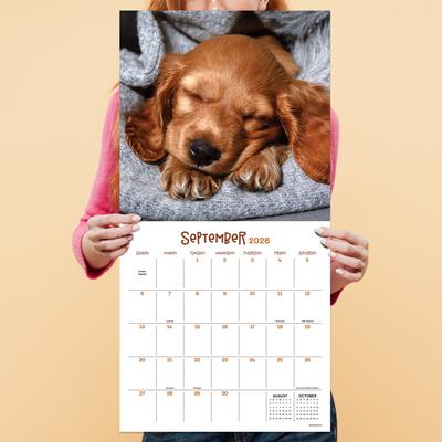 Show full view: 2026 Dog Dreams Wall Calendar slide 5 of 5