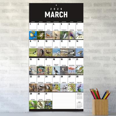 Show full view: 2026 Birds: Backyard & Beyond Wall Calendar slide 5 of 5
