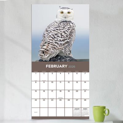 Show full view: 2026 Owls Wall Calendar slide 5 of 5