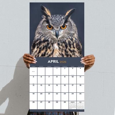Show full view: 2026 Owls Wall Calendar slide 2 of 5