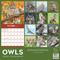 Show in main carousel: 2026 Owls Wall Calendar slide 3 of 5