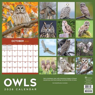 Show full view: 2026 Owls Wall Calendar slide 3 of 5