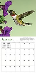 2026 Backyard Birds Wall Calendar