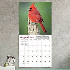 2026 Backyard Birds Wall Calendar slide 2 of 5