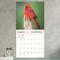 Show in main carousel: 2026 Backyard Birds Wall Calendar slide 4 of 5