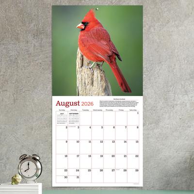 Show full view: 2026 Backyard Birds Wall Calendar slide 4 of 5
