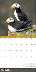 2026 Wild Wall Calendar