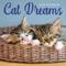 Show in main carousel: 2026 Cat Dreams Wall Calendar slide 3 of 5