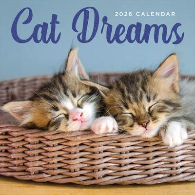 Show full view: 2026 Cat Dreams Wall Calendar slide 3 of 5