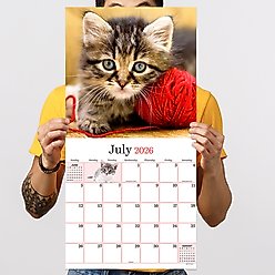 2026 Kittens Wall Calendar slide 2 of 5
