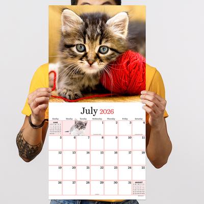 Show full view: 2026 Kittens Wall Calendar slide 4 of 5