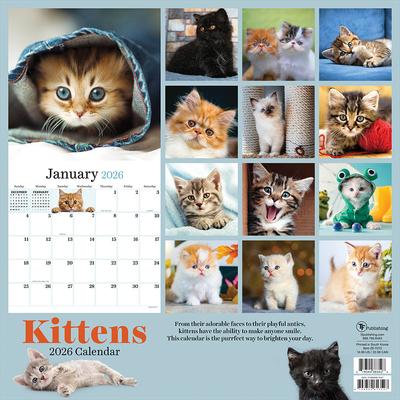 Show full view: 2026 Kittens Wall Calendar slide 2 of 5