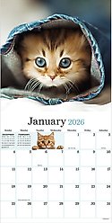 2026 Kittens Wall Calendar