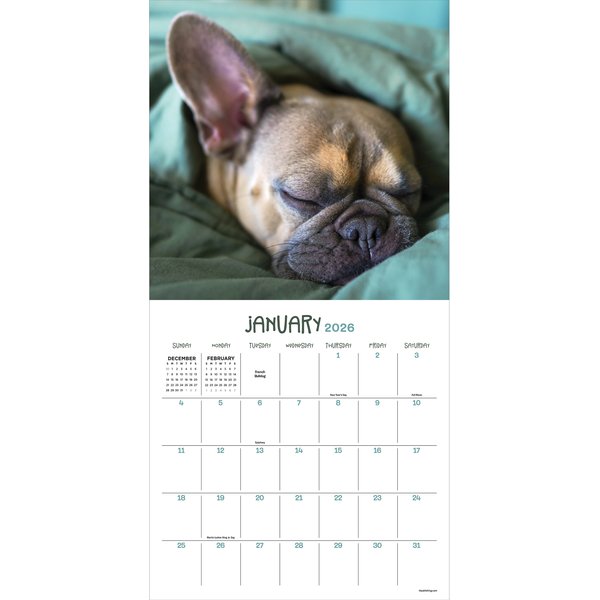 2026 Dog-A-Day Wall Calendar