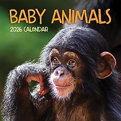 2026 Baby Animals Wall Calendar slide 2 of 5