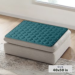 Allisandro 2-Pack Double-Sided Absorbent Washable Dog & Cat Pee Pad Blankets, Green, 24 x 16-in slide 2 of 7