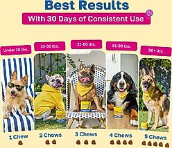 Happy Paws Hip & Joint Soft Chews Supplement for Dogs, 100 count slide 2 of 7