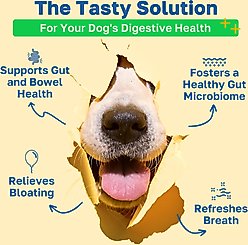 Happy Paws Probiotic Soft Chews Supplement for Dogs, 100 count slide 2 of 7