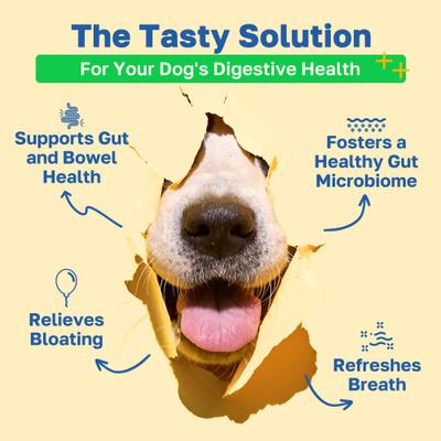 Show full view: Happy Paws Probiotic Soft Chews Supplement for Dogs, 100 count slide 3 of 10