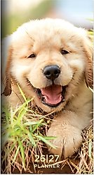 2026-2027 Dog Small Monthly Pocket Planner