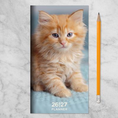 Show full view: 2026-2027 Kitten Small Monthly Pocket Planner slide 7 of 9