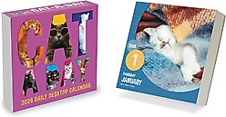 2026 Cat A Day Daily Desktop Calendar