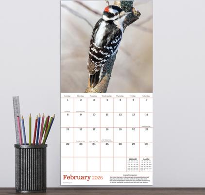Show full view: 2026 Backyard Birds Mini Calendar slide 4 of 5
