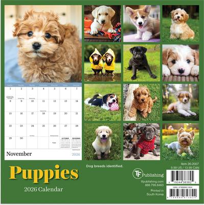 Show full view: 2026 Puppies Mini Calendar slide 2 of 5