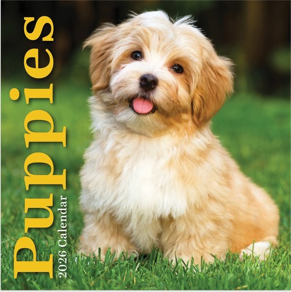 2026 Puppies Mini Calendar