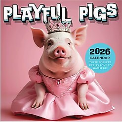 2026 Playful Pigs Mini Calendar slide 2 of 5