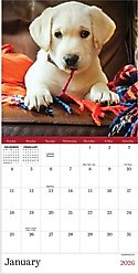 2026 Puppies Mini Calendar