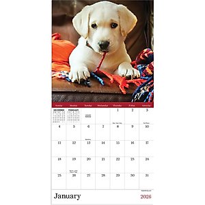 2026 Puppies Mini Calendar