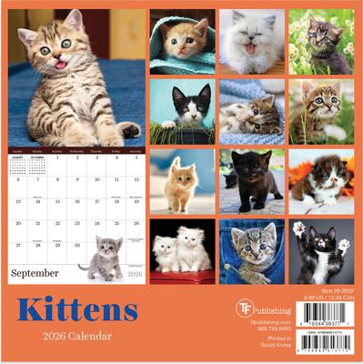 Show full view: 2026 Kittens Mini Calendar slide 2 of 5