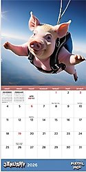 2026 Playful Pigs Mini Calendar