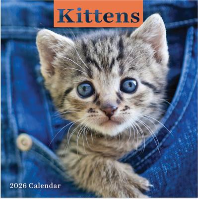 Show full view: 2026 Kittens Mini Calendar slide 3 of 5