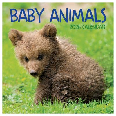 Show full view: 2026 Baby Animals Mini Calendar slide 3 of 5