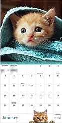2026 Kittens Mini Calendar