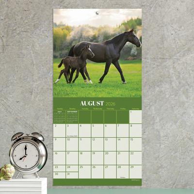 Show full view: 2026 Horses Mini Calendar slide 4 of 5