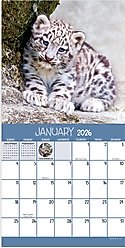 2026 Baby Animals Mini Calendar