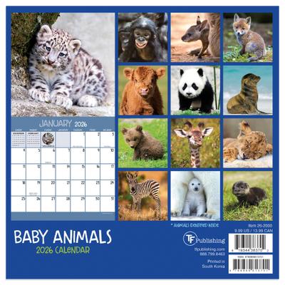 Show full view: 2026 Baby Animals Mini Calendar slide 2 of 5