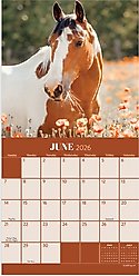 2026 Horses Mini Calendar