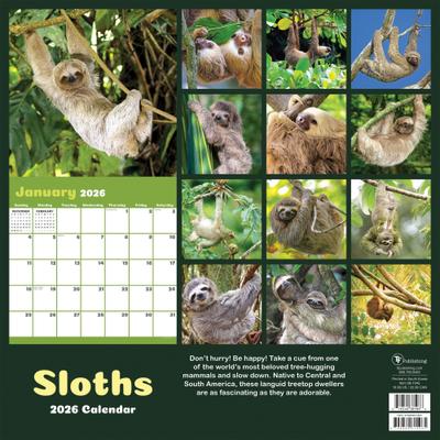 Show full view: 2026 Sloths Wall Calendar slide 3 of 5