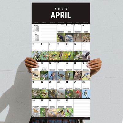 Show full view: 2026 Birds: Backyard & Beyond Wall Calendar slide 2 of 5