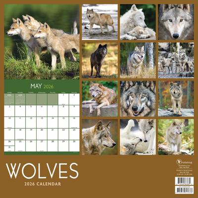 Show full view: 2026 Wolves Wall Calendar slide 2 of 5