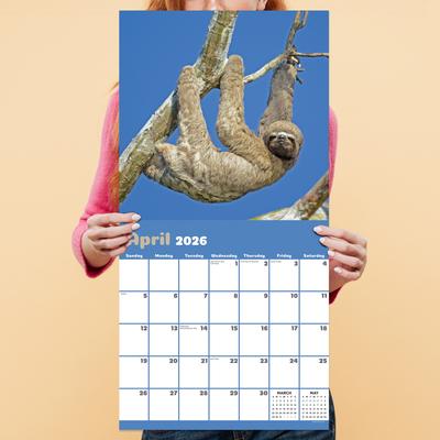 Show full view: 2026 Sloths Wall Calendar slide 5 of 5
