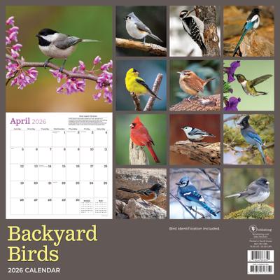 Show full view: 2026 Backyard Birds Wall Calendar slide 2 of 5