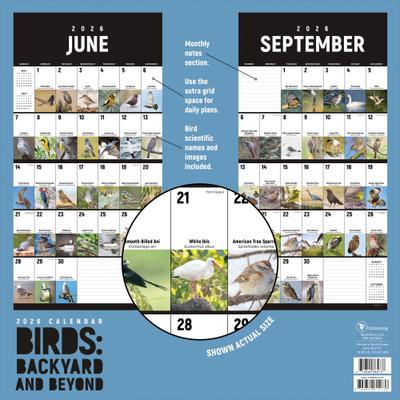 Show full view: 2026 Birds: Backyard & Beyond Wall Calendar slide 3 of 5