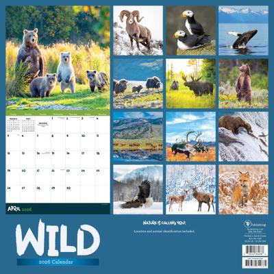 Show full view: 2026 Wild Wall Calendar slide 2 of 5