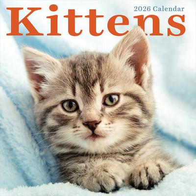 Show full view: 2026 Kittens Wall Calendar slide 3 of 5