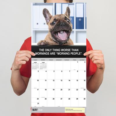 Show full view: 2026 Desk Dogs Wall Calendar slide 4 of 5